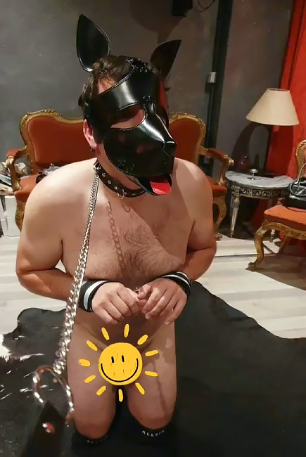 pet play bdsm