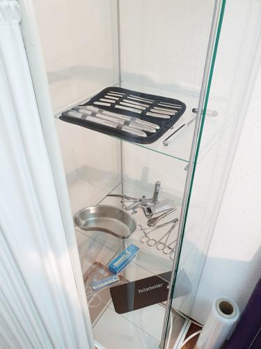 Medical Play Dominatrix